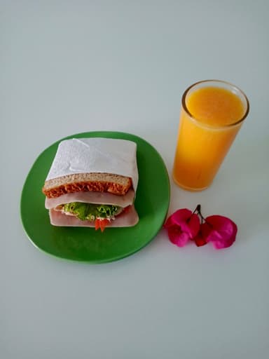 Sándwich de Atún🍞
