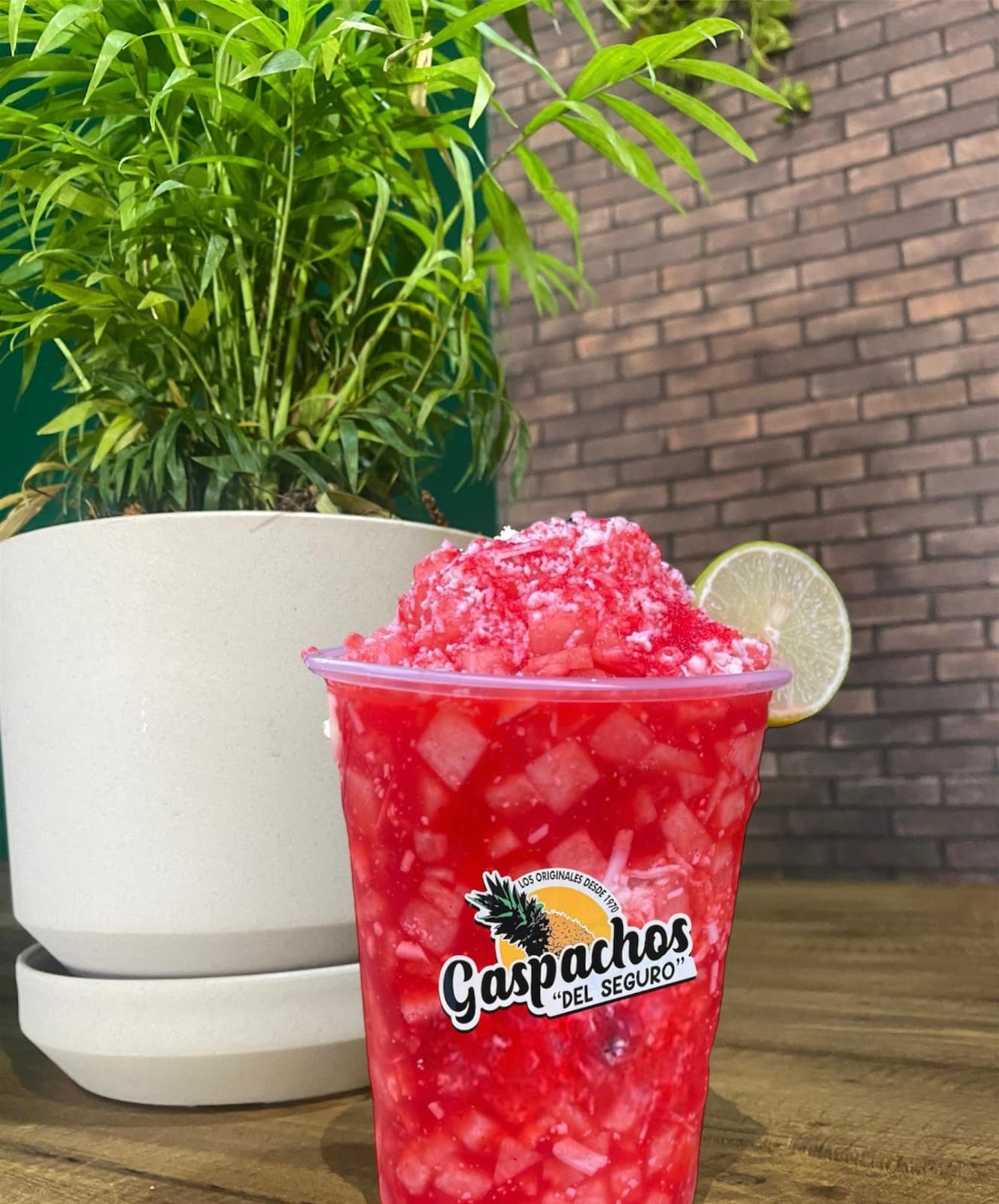 Gaspacho Únicamente Sandia 1/2 Litro