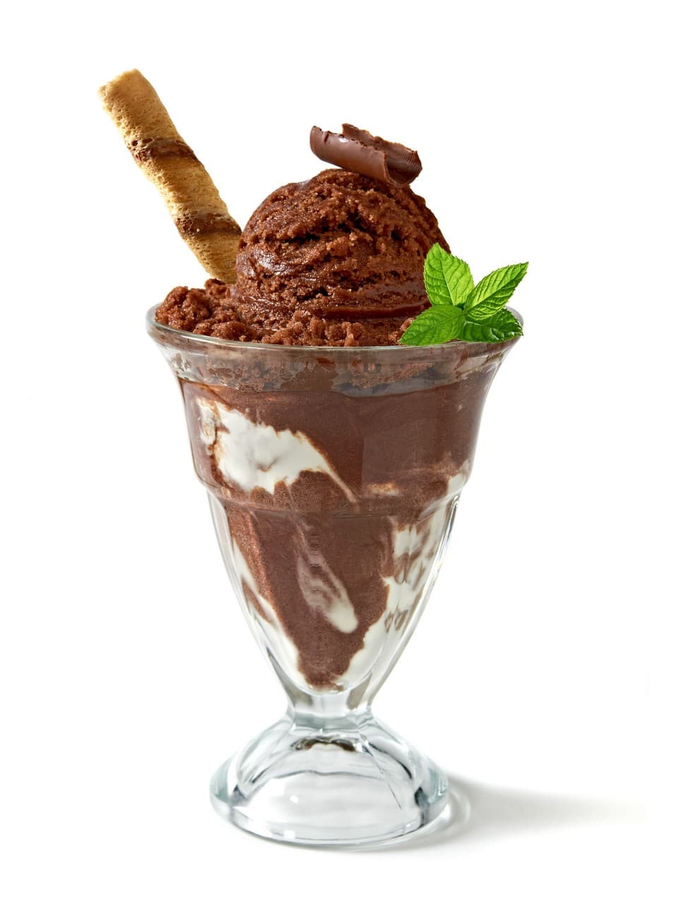 COPA DE NIEVE