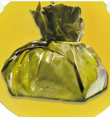 Tamal Tolimense