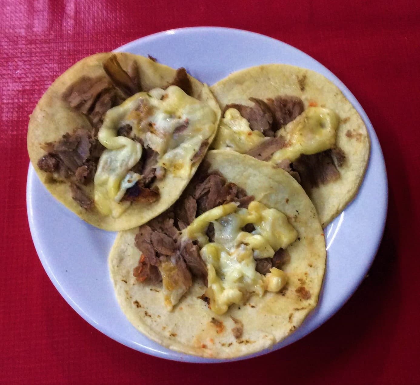 Taco de Sirloin con queso