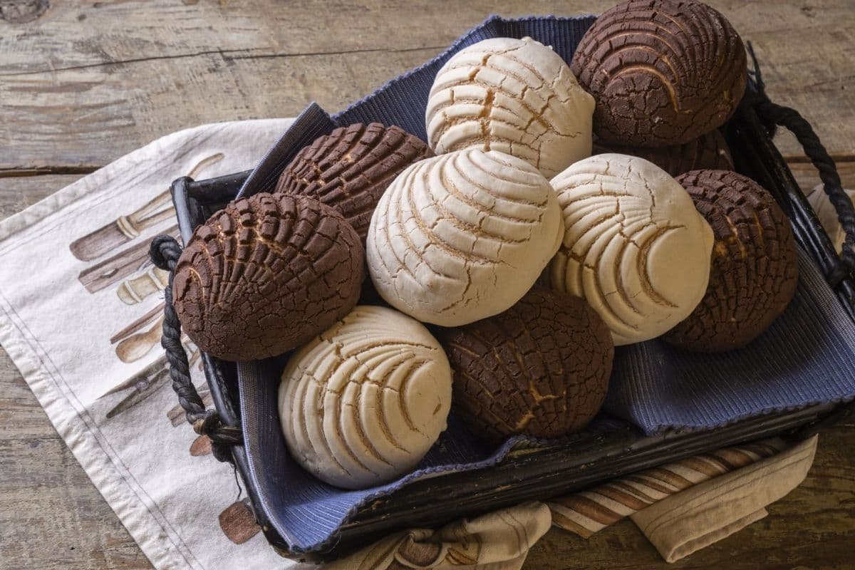 Conchas de Chocolate