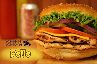Pollo
