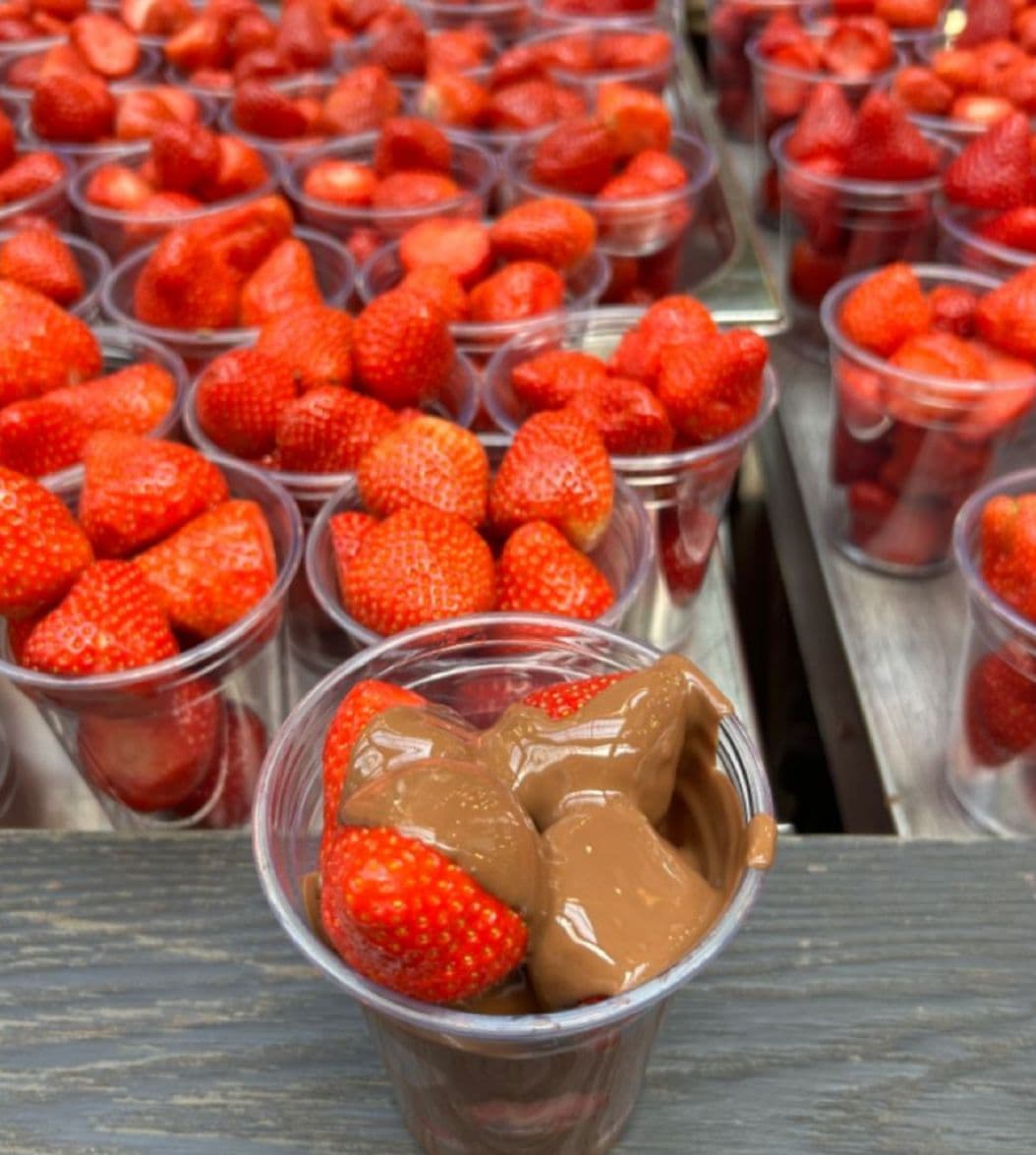 FRESAS CON CHOCOLATE