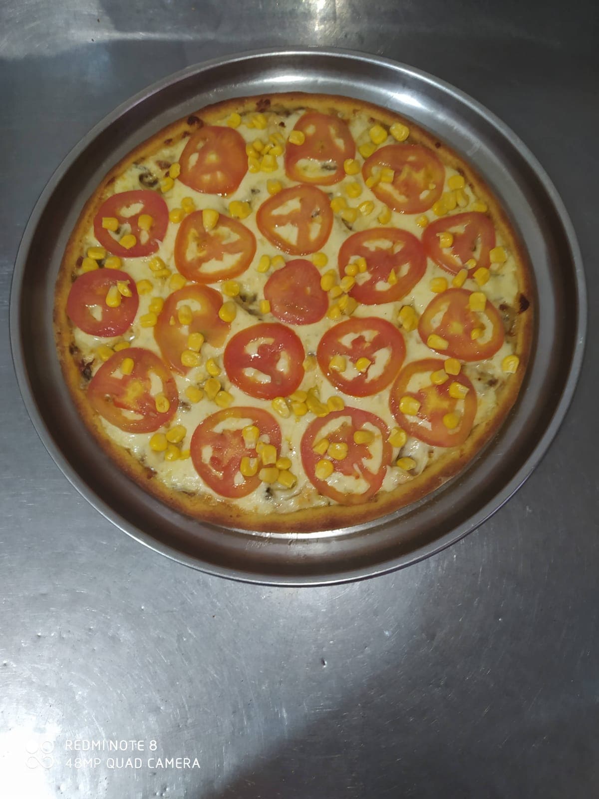 Pizza Especial Grande 8 Porciones