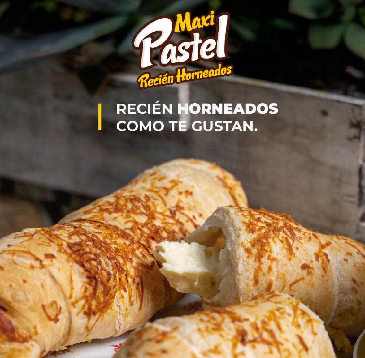 Palito de Queso