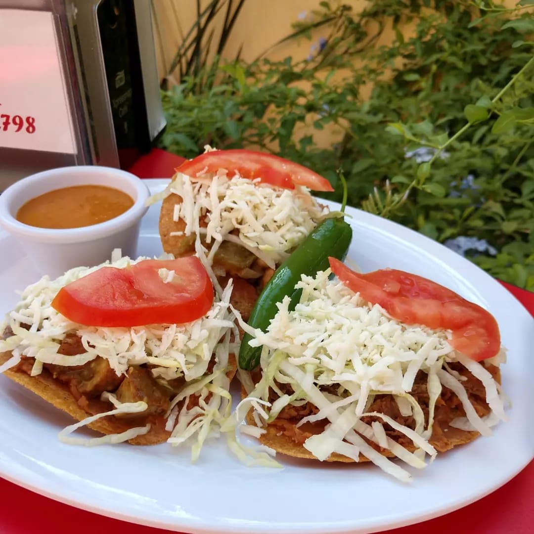 Tostada Dinos de Pollo (2pzs)