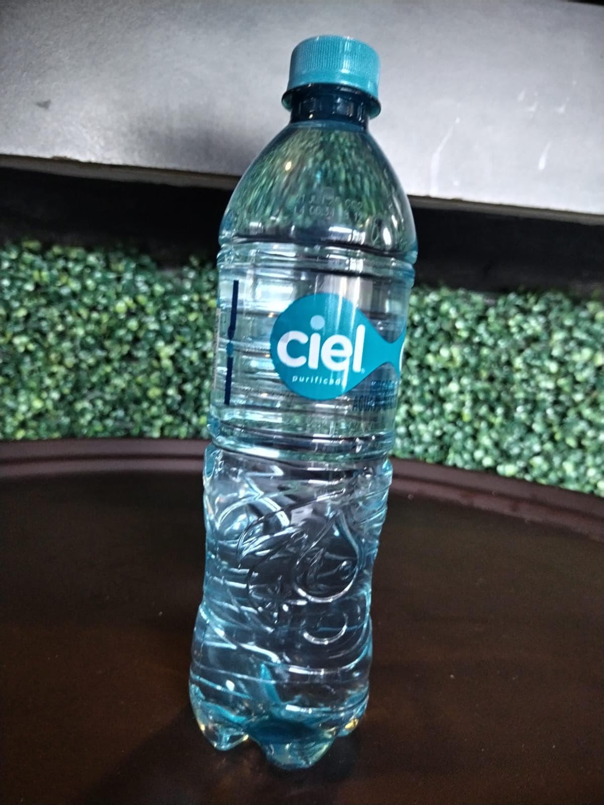 Agua Natural