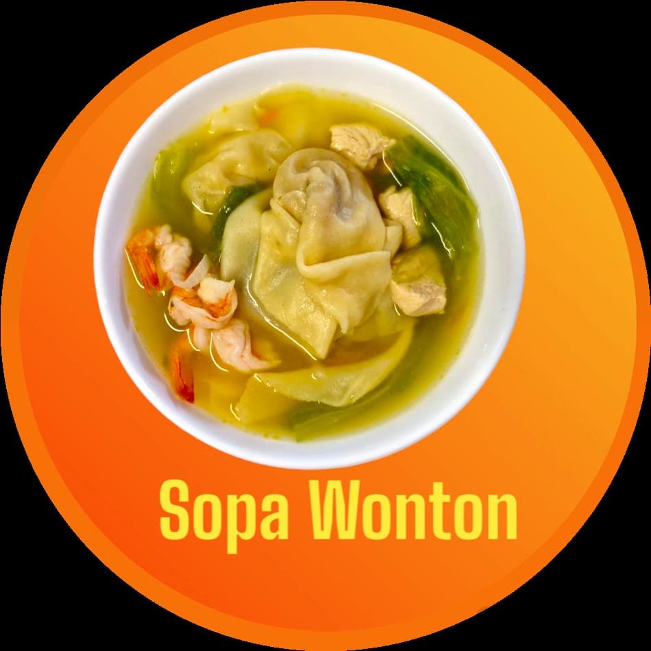 Sopa de Wonton
