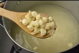 Grano de Maíz