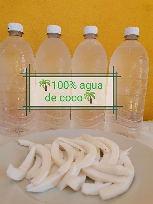 Agua de Coco Litro