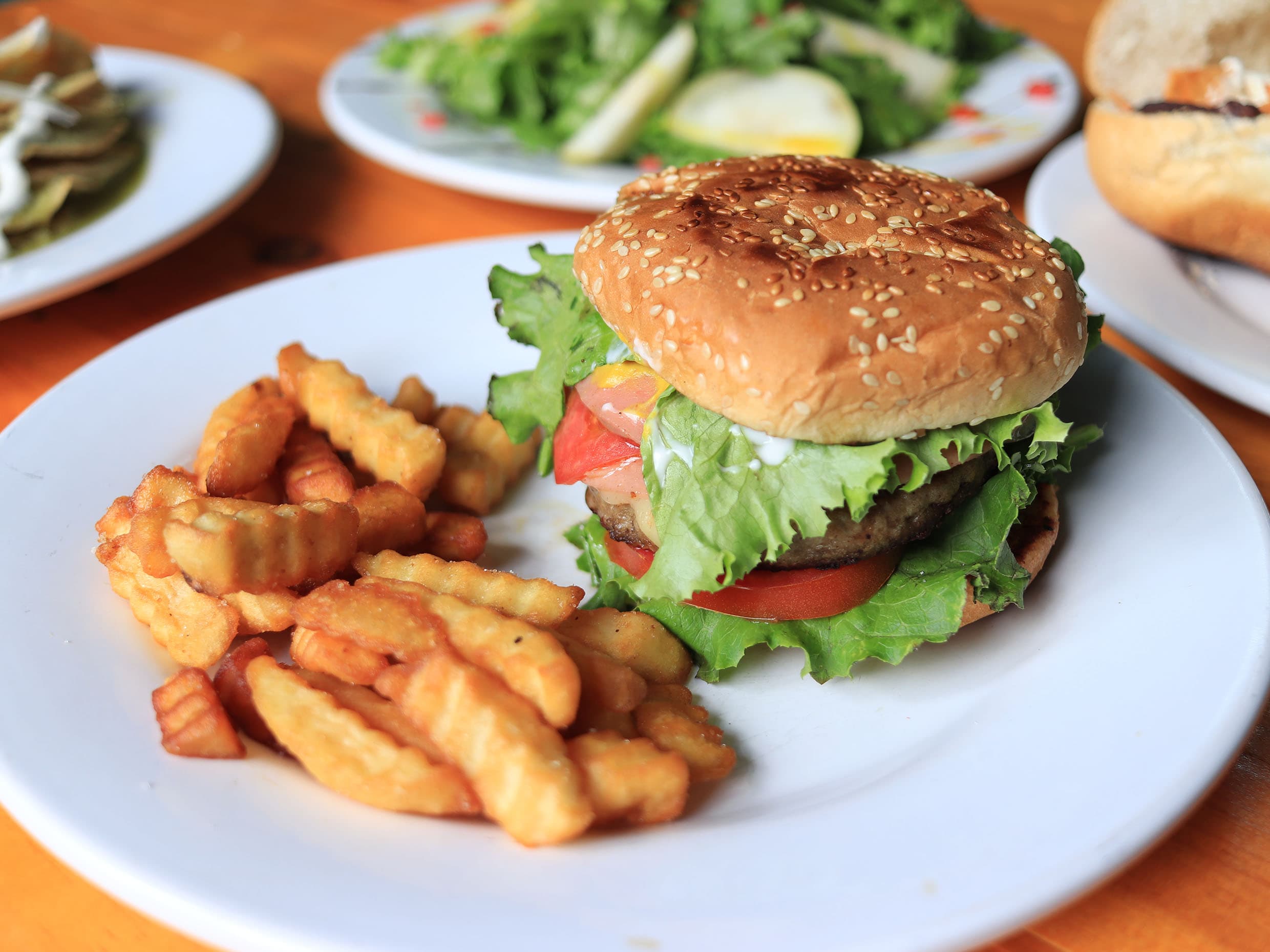 HAMBURGUESA DE SIRLOIN
