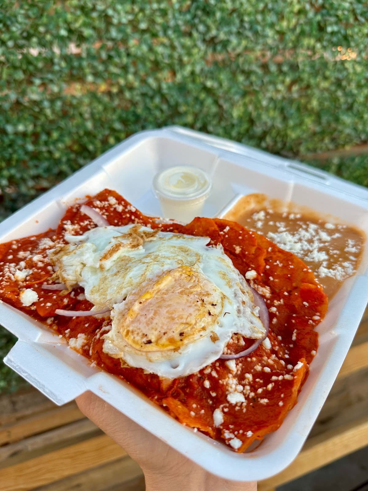 Chilaquiles con Huevo