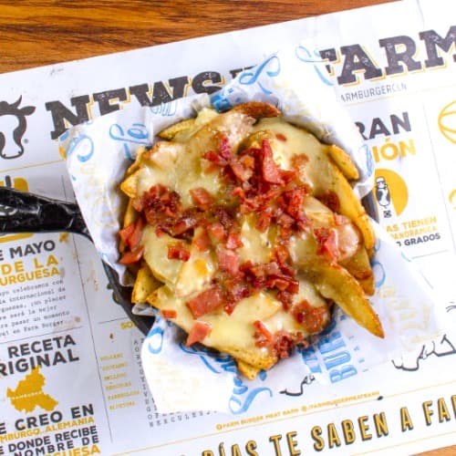 Cheesy Bacon Fries
