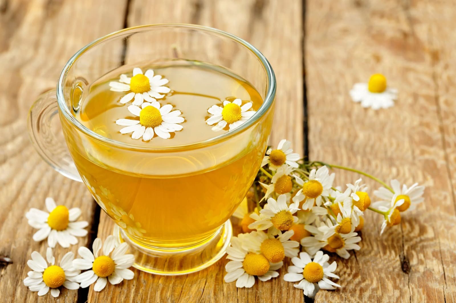 Té Manzanilla