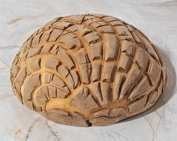Concha Chocolate
