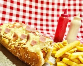 Perro Mixto