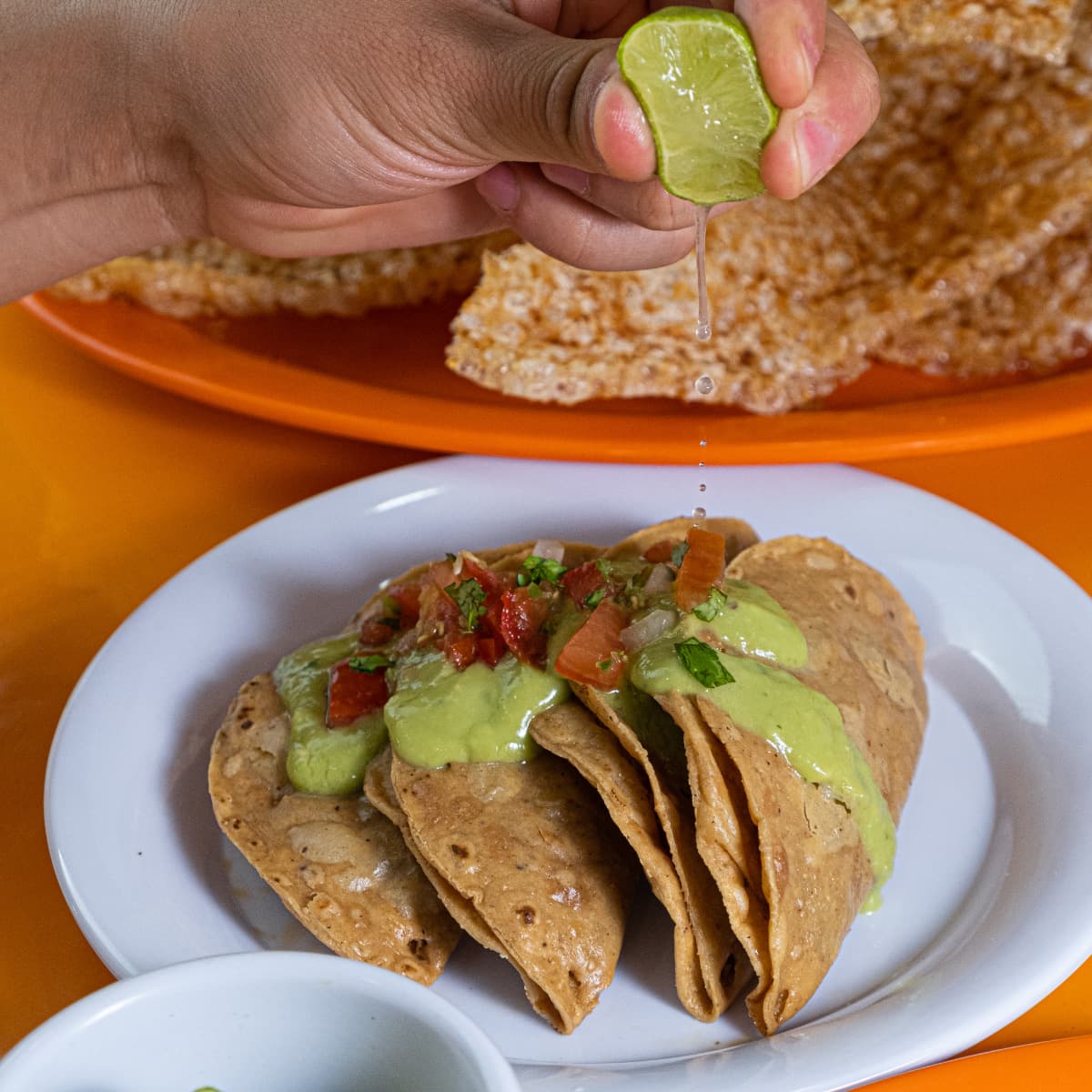 Taco Dorado con Sesos (Promo)