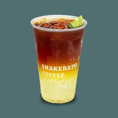 Cold Brew Ginger Fizz