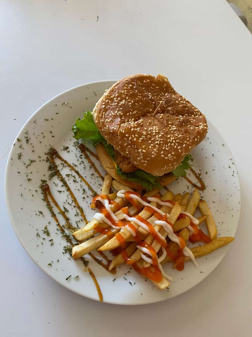 Hamburguesas de Carne Desmechada + Papas
