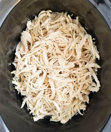 Pollo