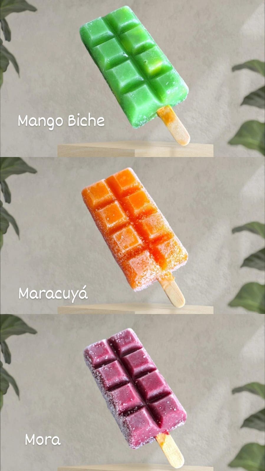 Combo Paletas En Agua