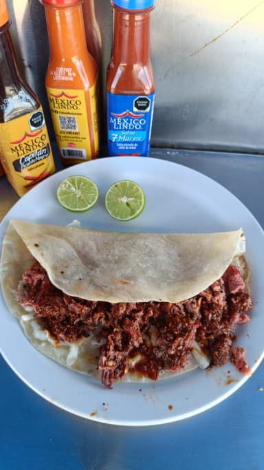 Quesadilla de Harina con Marlin Enchilado