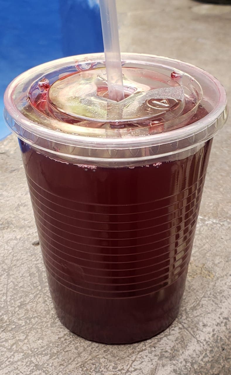 Agua de Jamaica 480ml