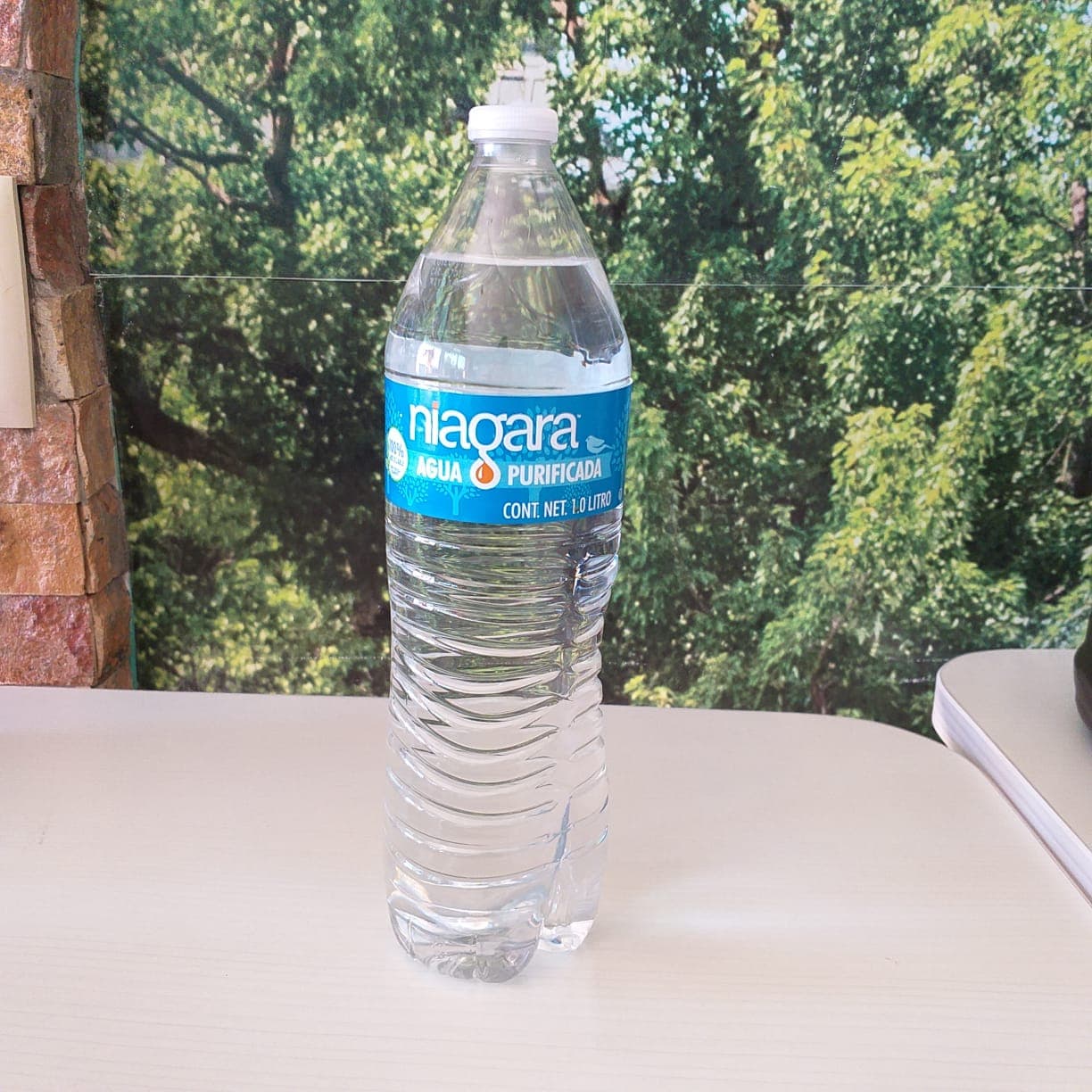 Agua Natural de 1 Litro
