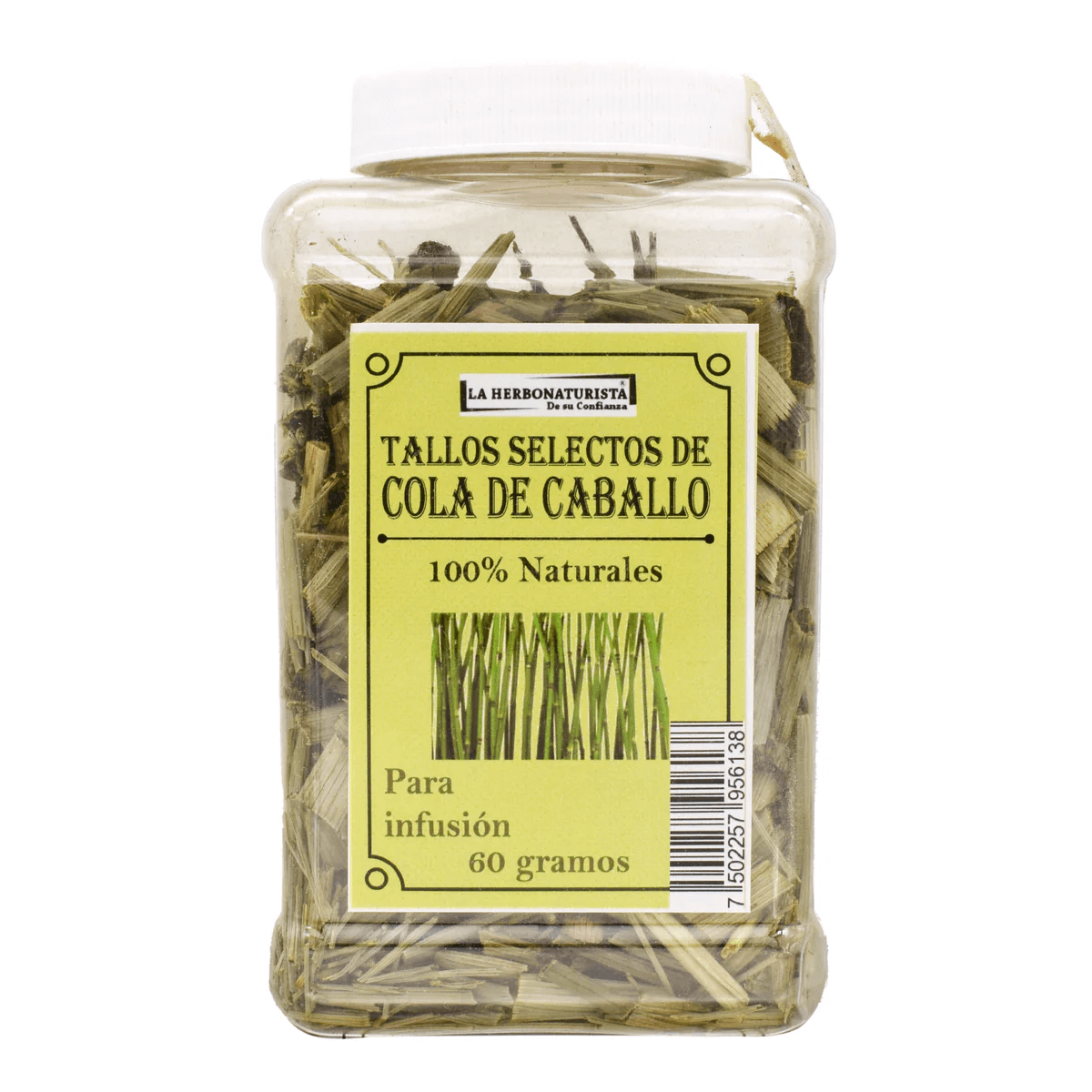 COLA DE CABALLO 60 G