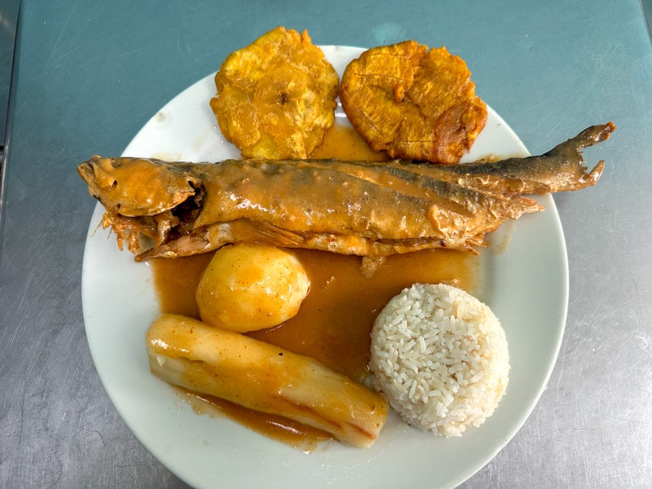 Corvina Sudada