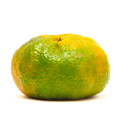 DM F&V MANDARINA NACIONAL UD