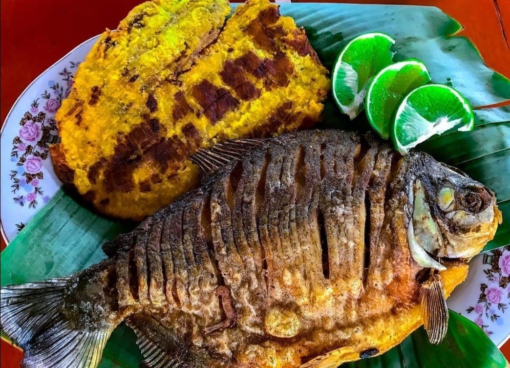Cachama Frita