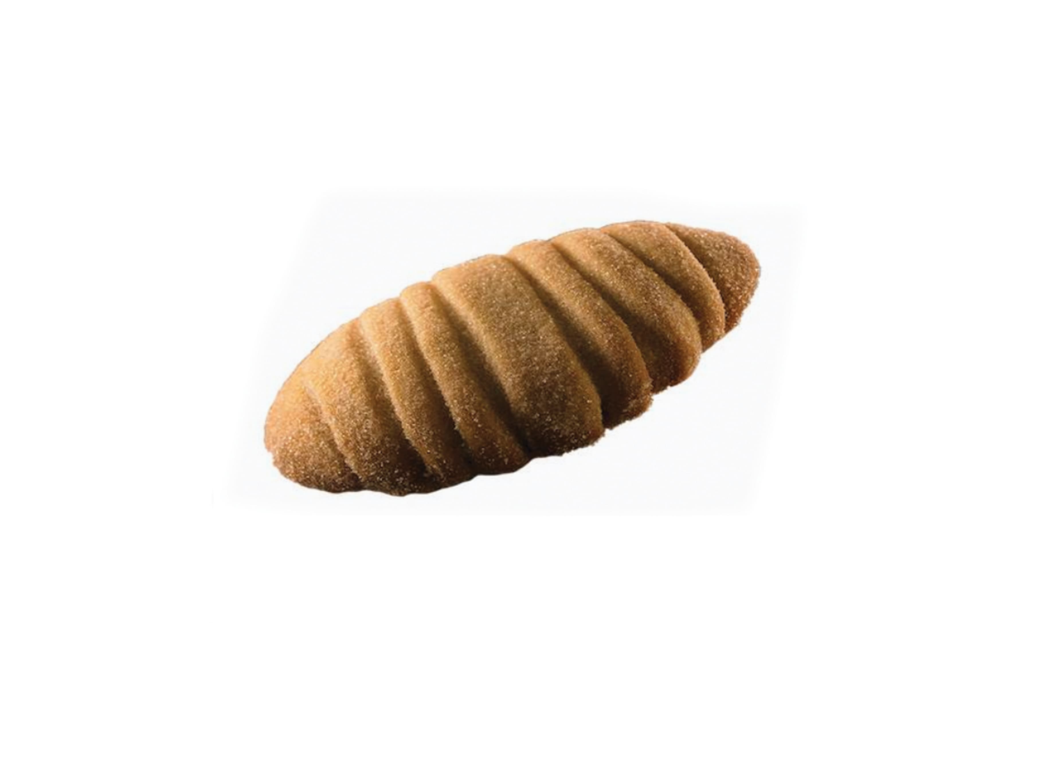 Caracol de Azúcar