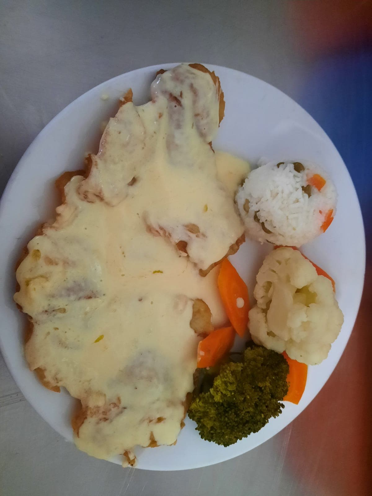 Filete en Salsa de Queso (No va Relleno)