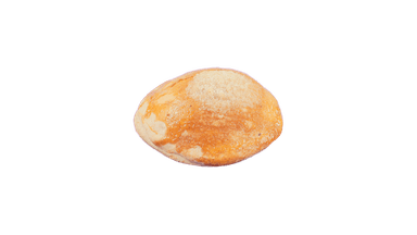Coyota de Piloncillo