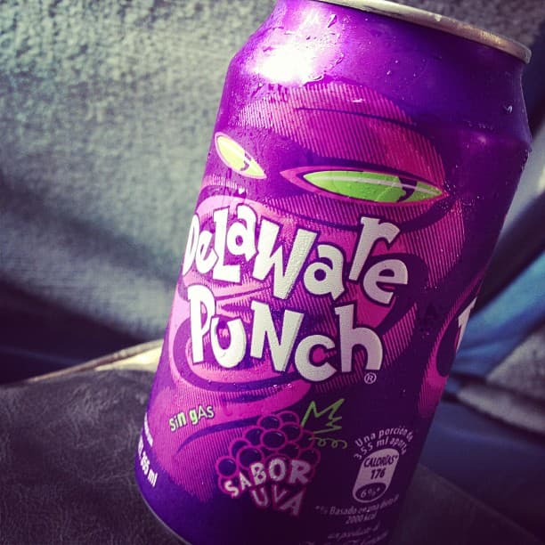 Delawere Punch 600 Ml