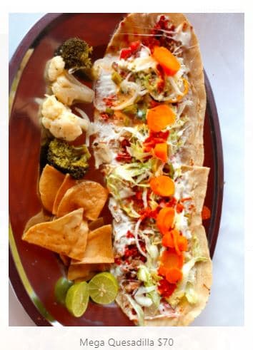 Mega Quesadilla