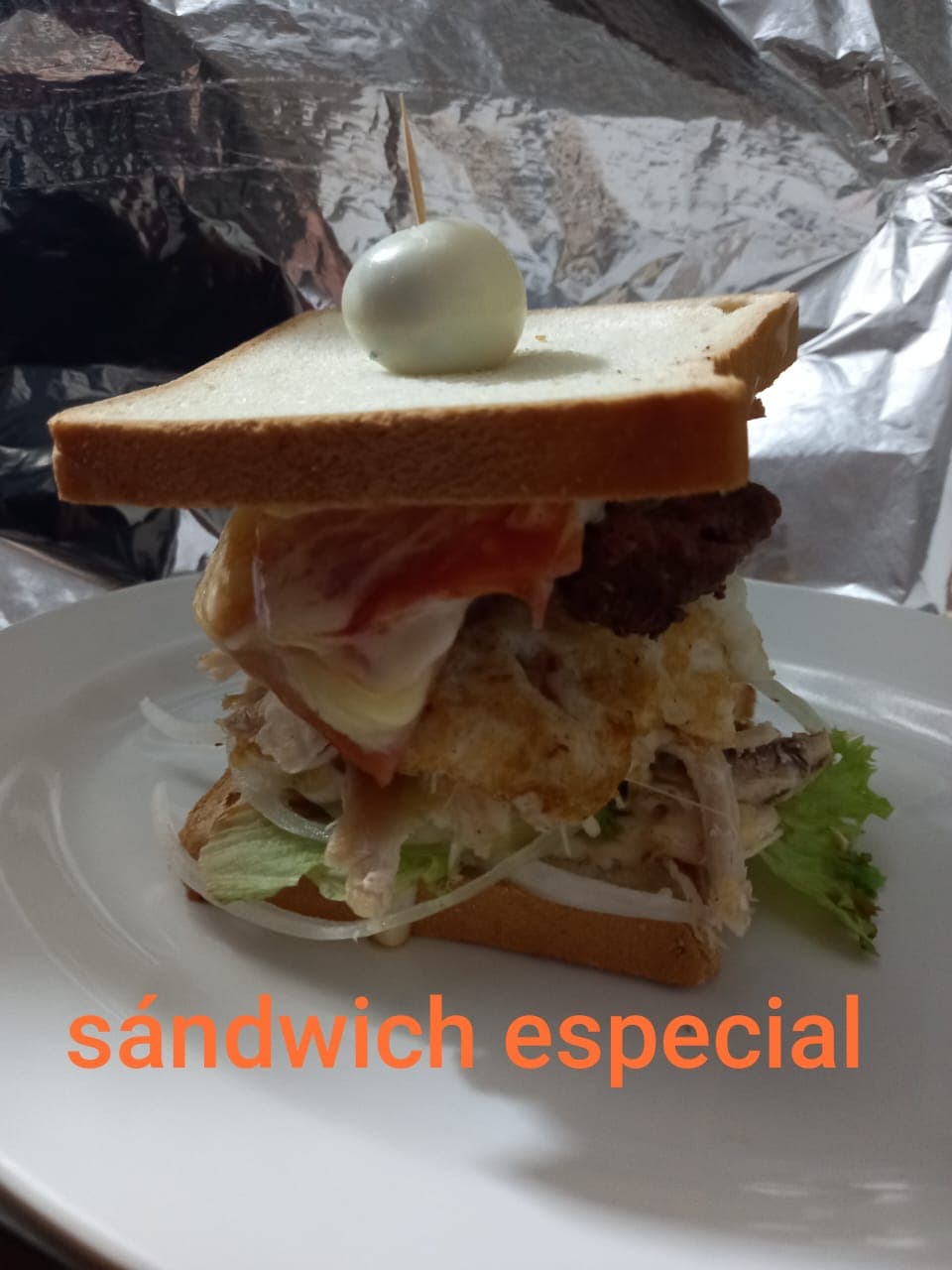 Sándwich Especial