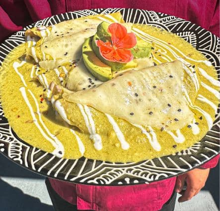 Enchiladas con Pollo Verdes