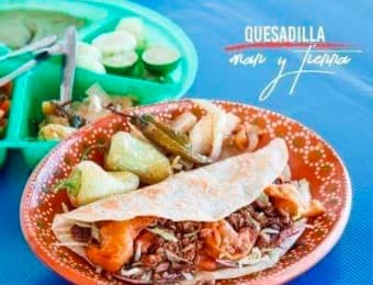 Quesadilla de Harina Mar Y Terra