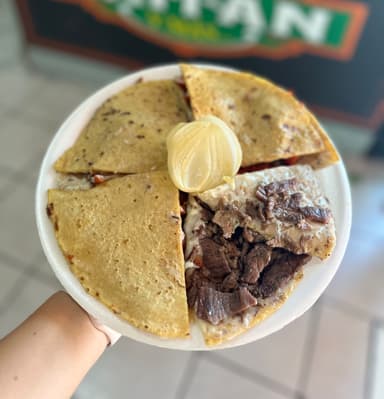 Gringa de res