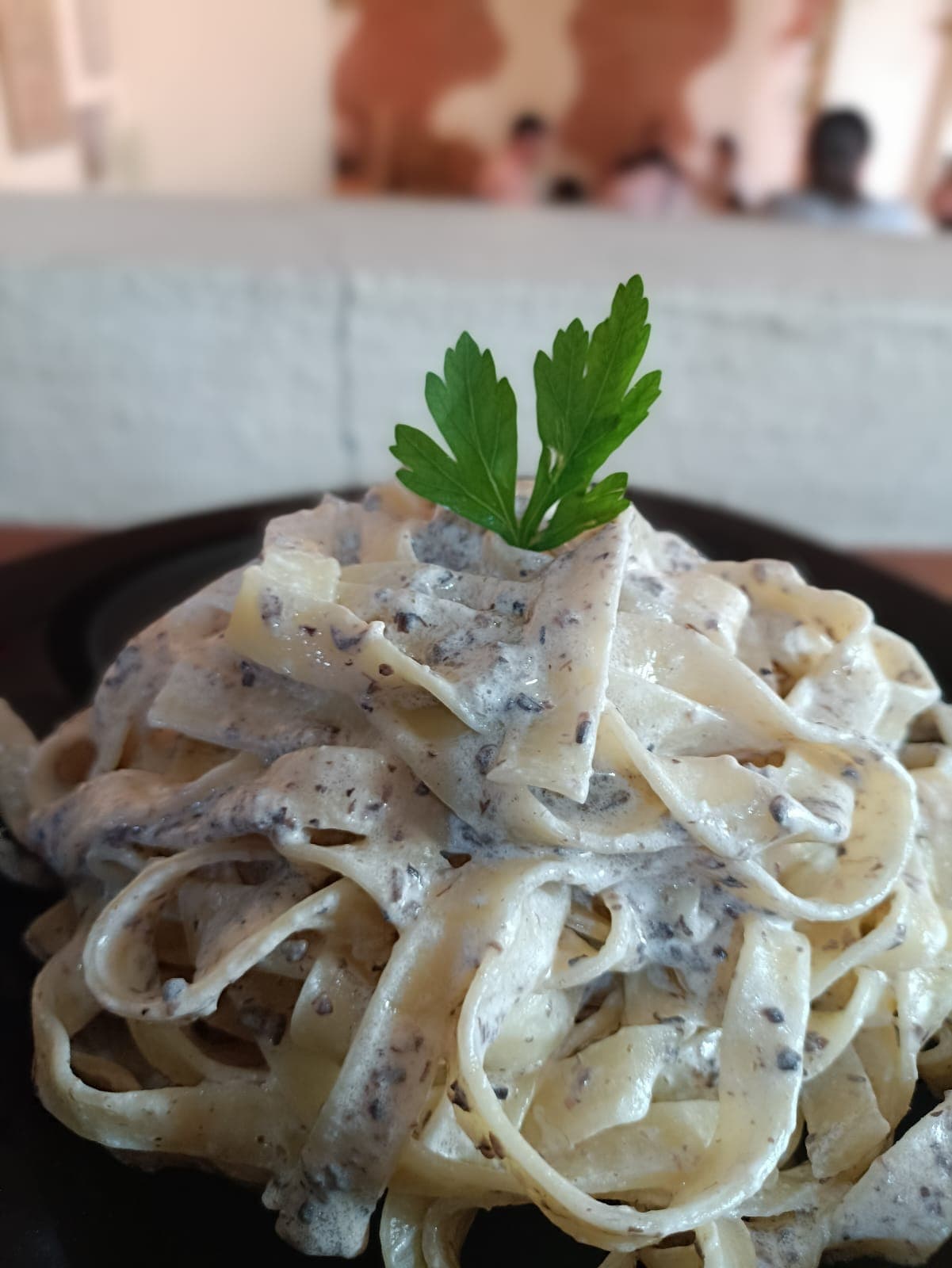 Fettuccine en Salsa de Trufas Negras