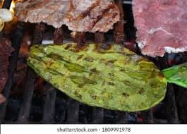 Nopal