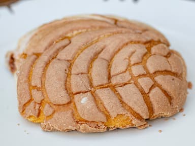 concha de cacao