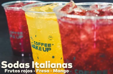 Sodas Italianas MD 16 oz