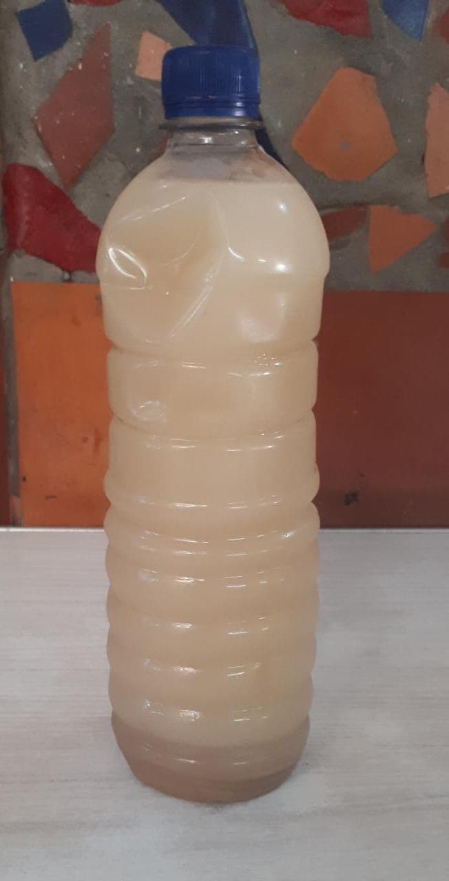 CEBADA 1 LT
