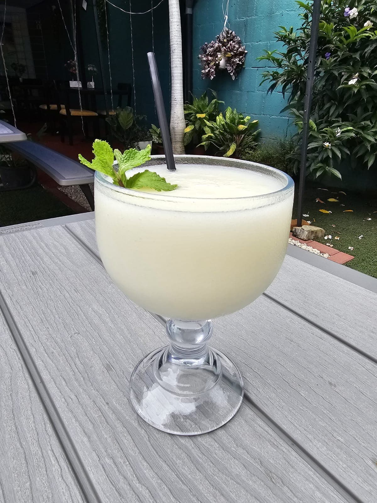 Batido de Guanábana en Leche