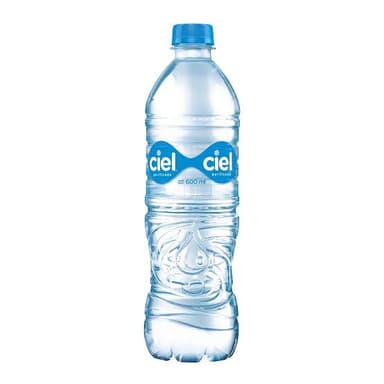 Agua 1lt