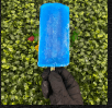 Paleta de Chicle